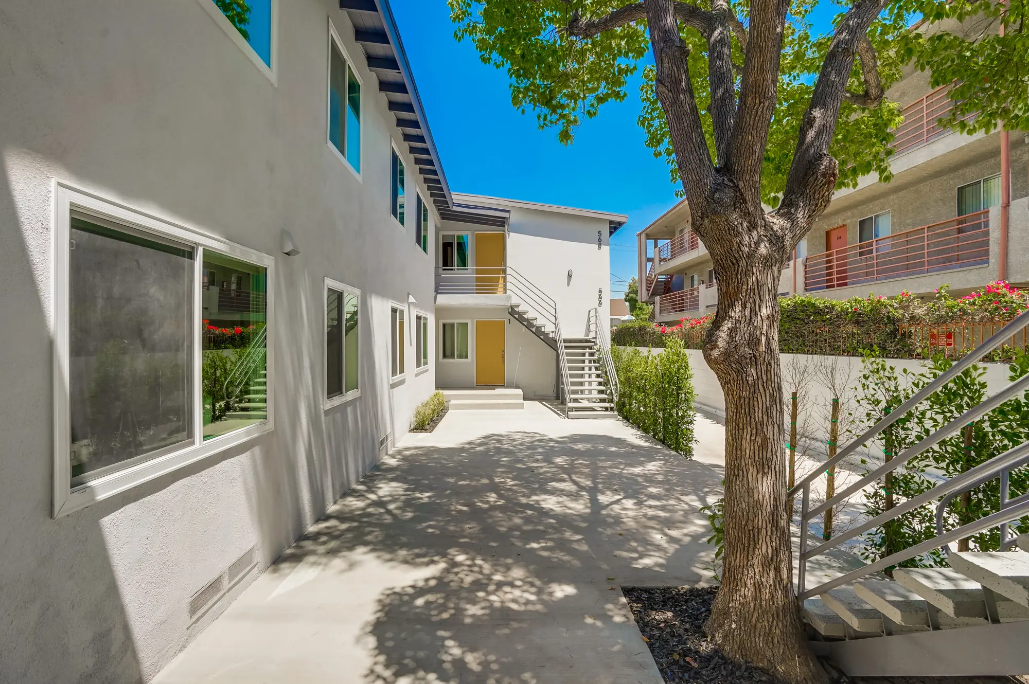 Tree-shaded courtyard at a Neilson Hammer building in East Hollywood